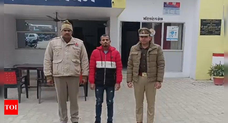 UP police arrest another accused involved in Sambhal violence; recovers one 12-bore pistol