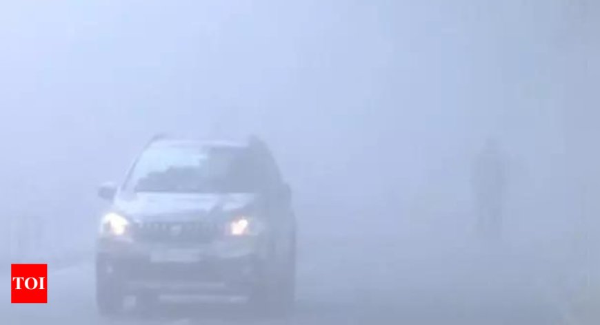 Chandigarh schools adjust timings amid cold wave, fog disrupts flight operations