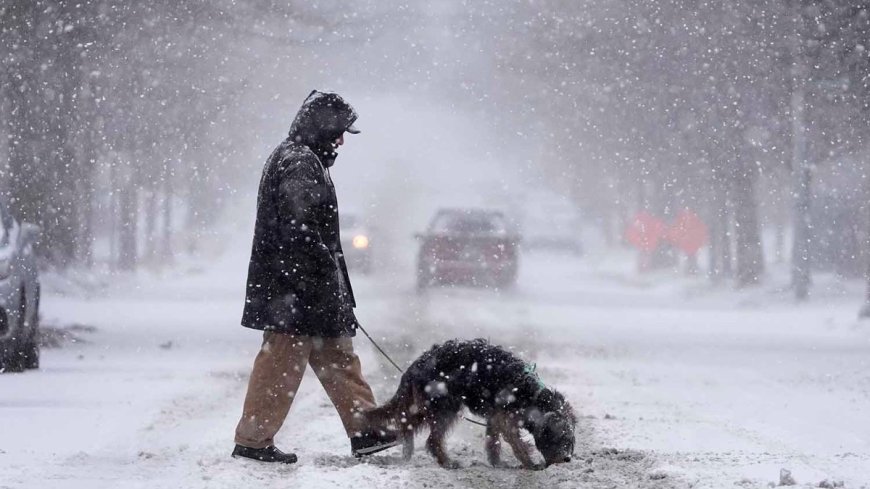 Pics: Severe winter storm blankets the US, bringing life to a standstill