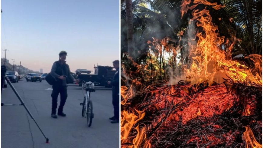 They're my family: Man urges cop to rescue dogs amid Los Angeles wildfire. Video