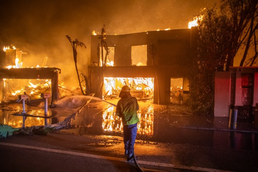 Trump Alleges California Burning As Governor Tried To Save "Worthless" Fish