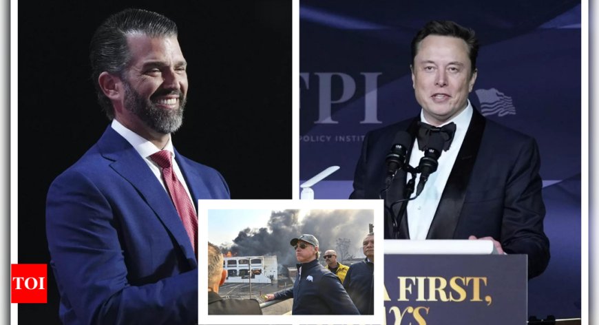 'Somehow my dad's fault': Donald Trump Jr slams Gavin Newsom over LA wildfires as Elon Musk's verdict is out