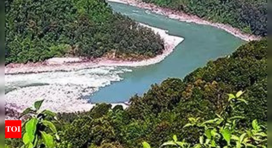 Arunachal dam can save North-East from China hydrocracy: Minister Ojing Tasing