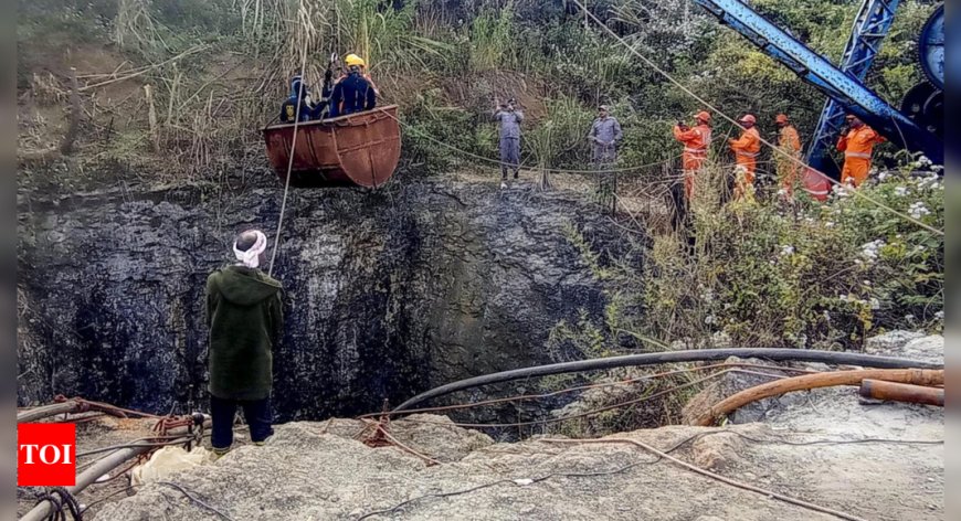 3 bodies pulled out of flooded Assam mine, toll rises to 4