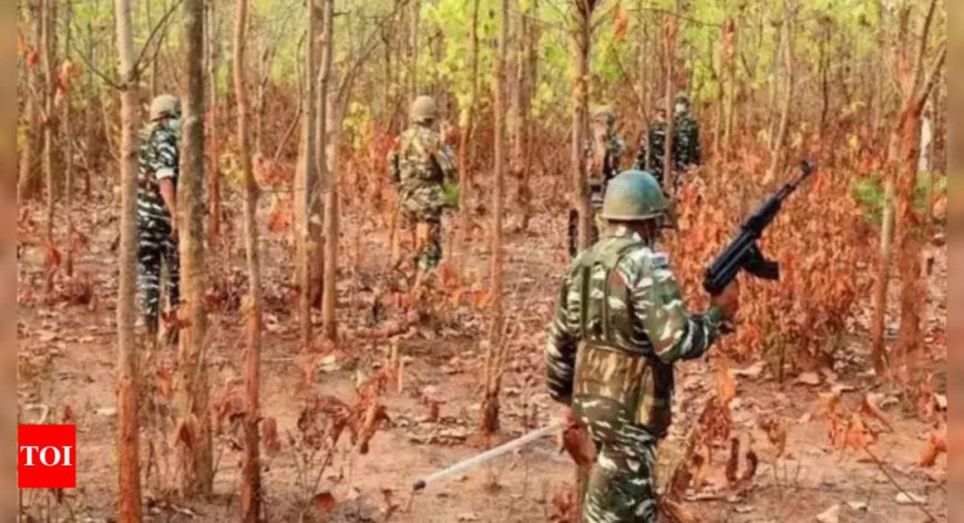 At least 12 Maoists gunned down in early-morning encounter near Odisha-Chhattisgarh border