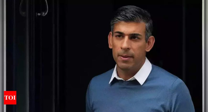 Former UK PM Rishi Sunak takes up posts at alma maters Oxford, Stanford universities