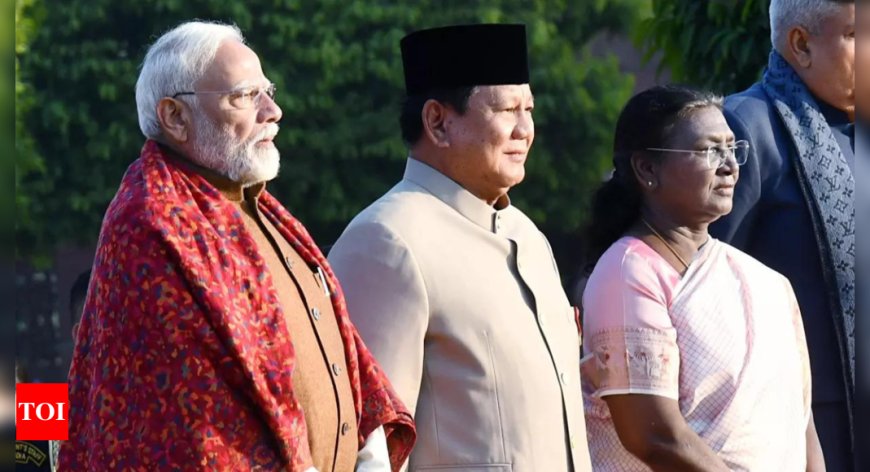 Watch: Indonesia President's 'Indian DNA' remark cracks up President Murmu, PM Modi