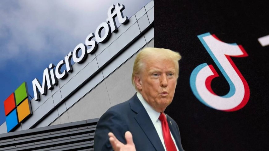 Microsoft is in talks to acquire TikTok, says US President Trump