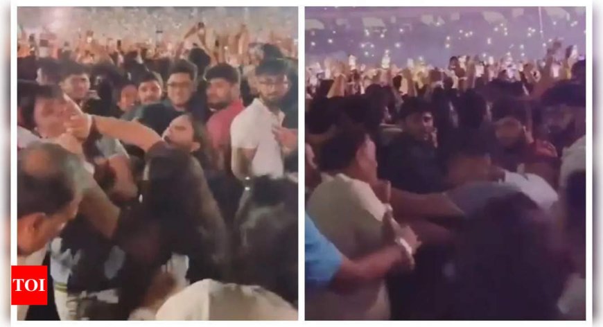 Elderly men at Coldplay concert get into fist-fight during Viva la Vida performance- WATCH