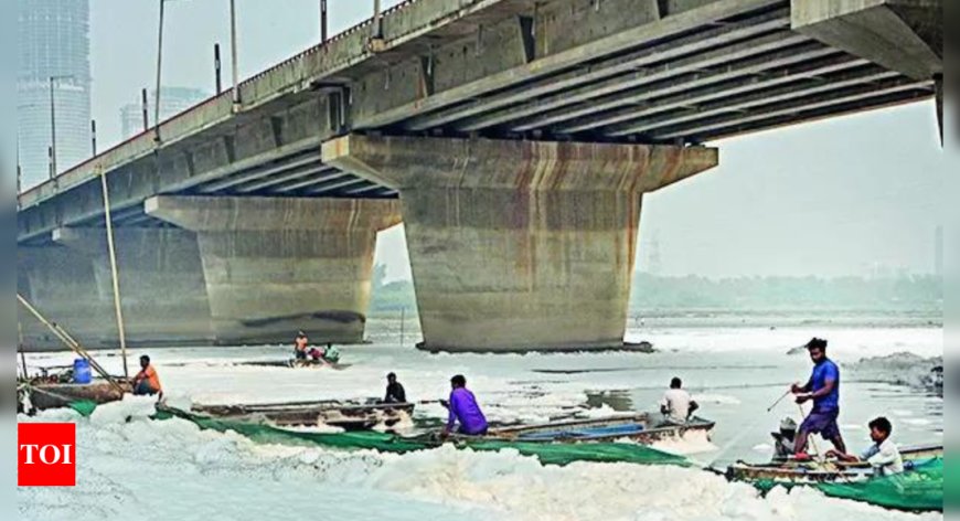 'Loyal to political masters': Delhi CM Atishi slams LG Saxena on toxins in Yamuna river row