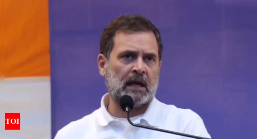 'Challenge him to drink Yamuna water': Rahul Gandhi calls on Arvind Kejriwal to fulfil 'promise he made years ago'