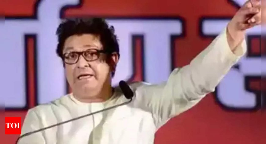 Infrastructure projects shouldn’t displace ‘sons of the soil’: Raj Thackeray