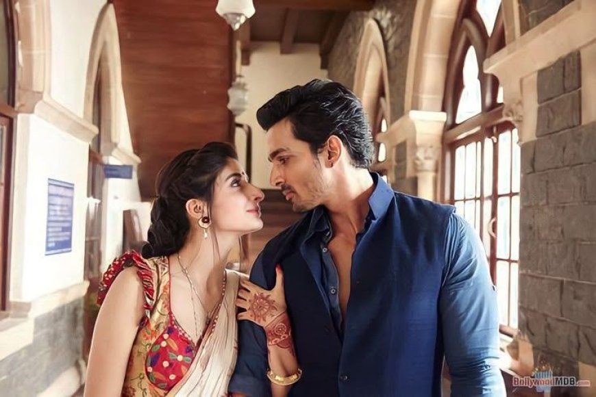 Films to watch if you loved Sanam Teri Kasam