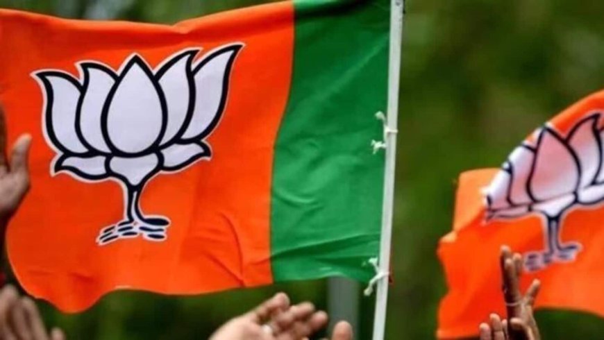 Big victory for BJP in Chhattisgarh municipal election, party wins all 10 mayor posts; set to sweep urban bodies