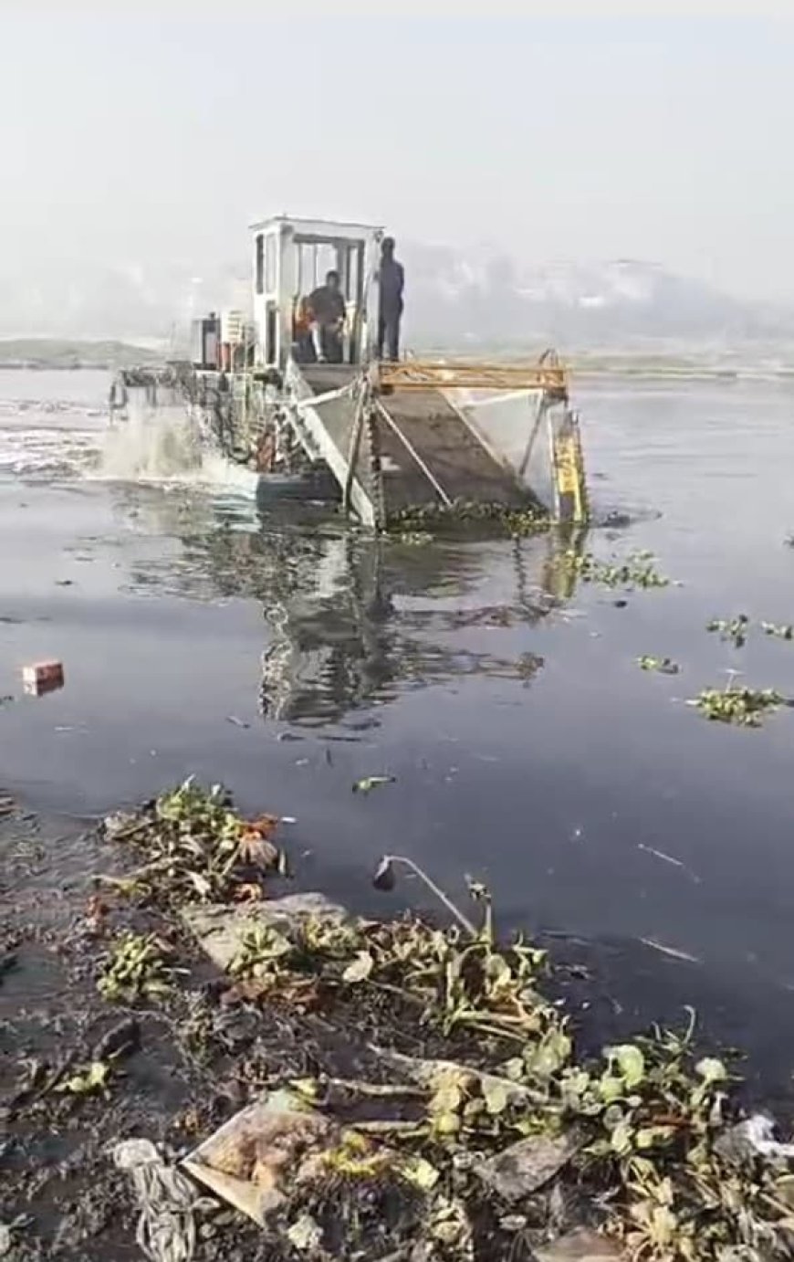 Yamuna Clean-Up Begins In Delhi Days After PM's Promise, BJP's Poll Win