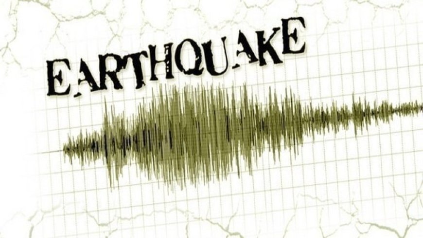 Everything shook, woke up without alarm: Delhi reacts to 4.0-magnitude quake