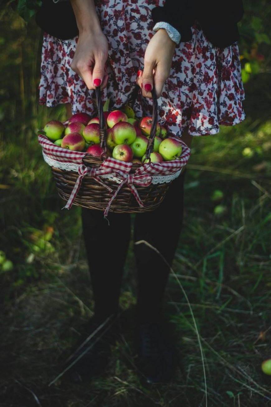 BEST FRUIT PICKING SPOTS FOR YOUR NEXT VACATION