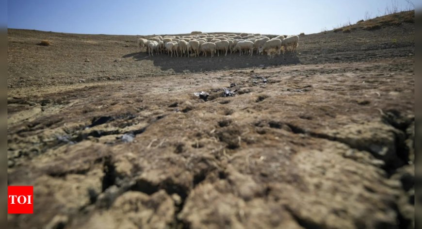 In Rome, talks to protect Earth's biodiversity resume with money topping the agenda