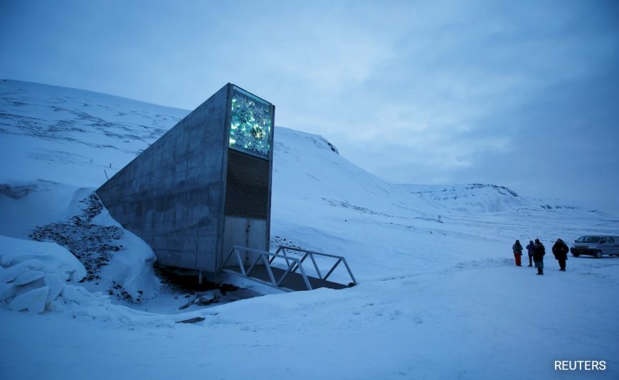 Why An African Nation Is Sending Samples To "Doomsday" Vault In The Arctic