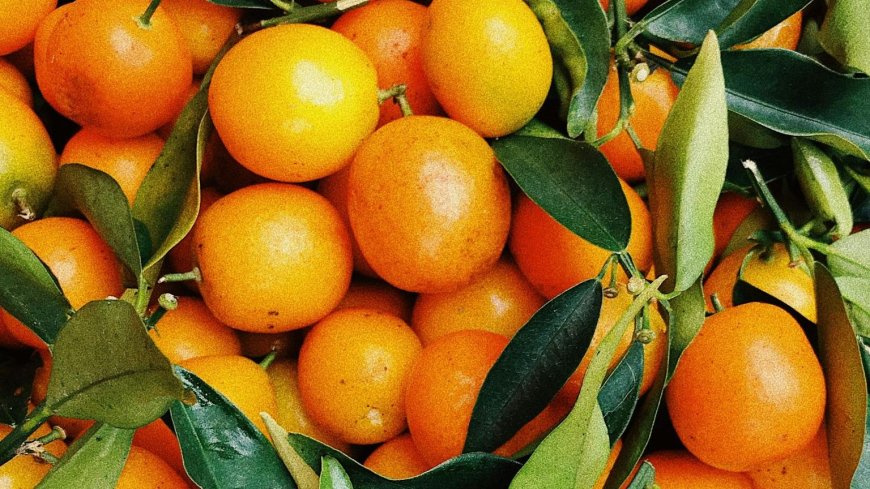 An orange a day reduces depression risk: Harvard study