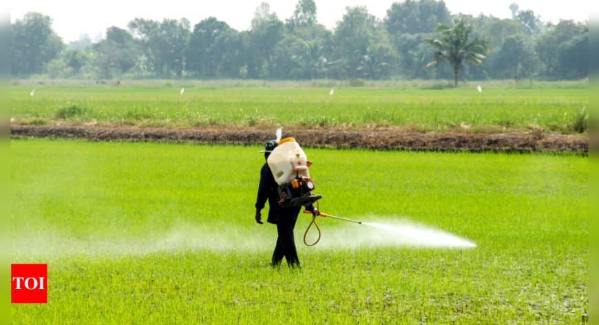 Pesticides and cancer: Is our food making us sick?