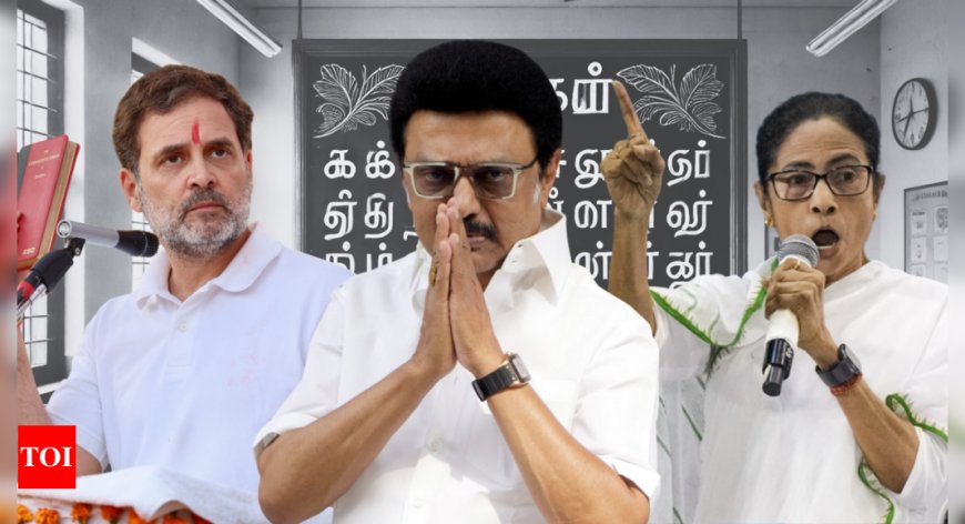 Stalin vs BJP: Why Congress, INDIA bloc are in a fix over delimitation, Hindi 'imposition' row