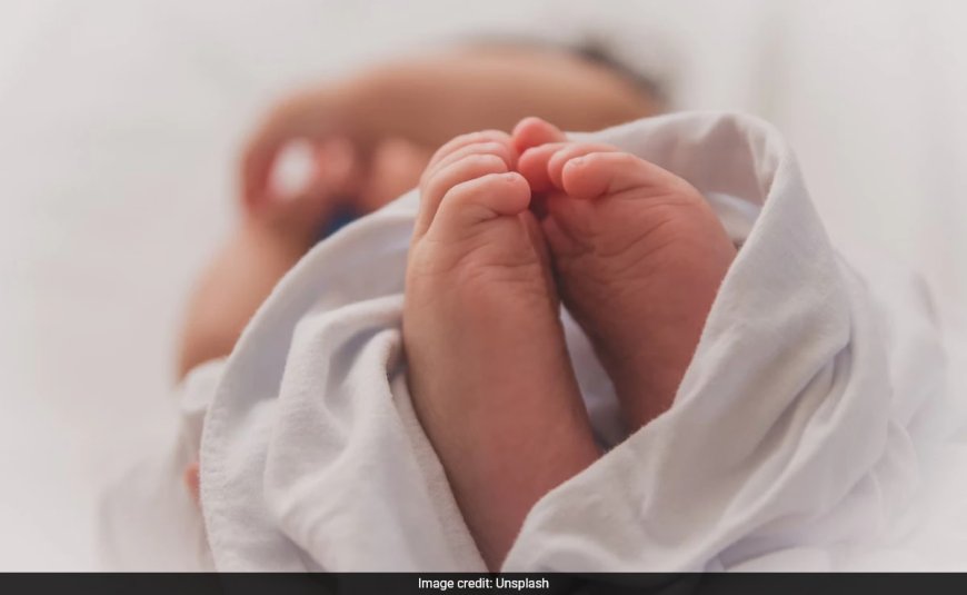 "Cow If Third Child A Boy, Rs 50,000 If Girl": Andhra TDP MP's Shocker