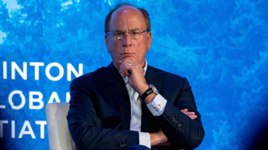 Not enough electricians for AI Boom: BlackRock CEO to Trump amid mass deportations