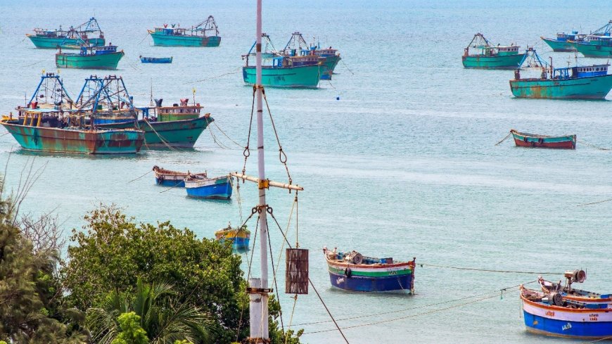 Tamil Nadu fishermen's forbidden land of fishing bounty: Katchatheevu island