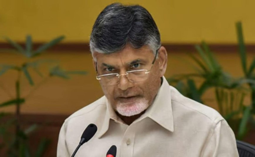 "Hindi Useful For Communication In Delhi": Chandrababu Naidu Amid Row