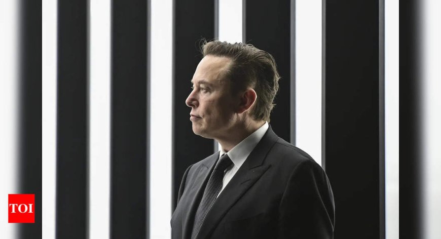 Musk-backed PAC offers Wisconsin voters $100 to sign petition against 'activist judges'