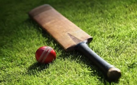 BCCI bans former Mumbai T20 League team franchise owner for fixing attempt