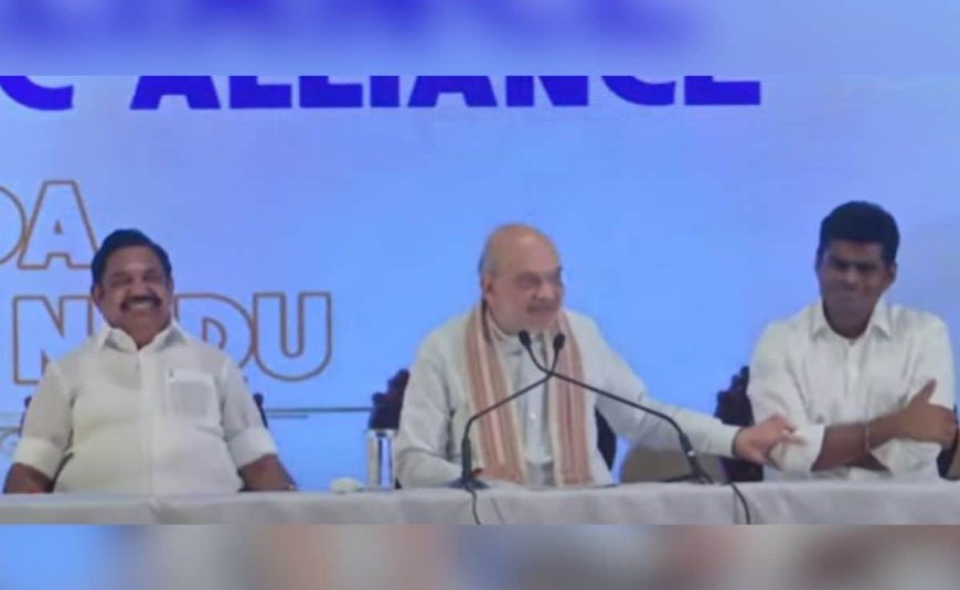 "Still...": Amit Shah On BJP's K Annamalai 'Being Removed' For AIADMK Alliance