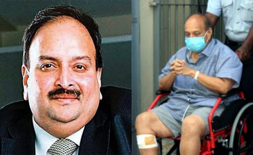 India To Use All Legal Tools To Extradite Mehul Choksi From Belgium: Sources