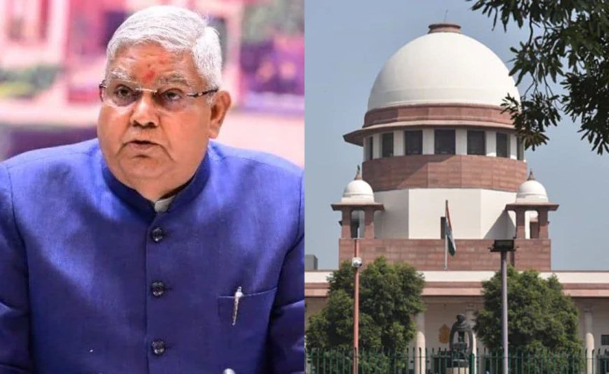 "Can't Direct President Of India": Vice President Targets Judiciary