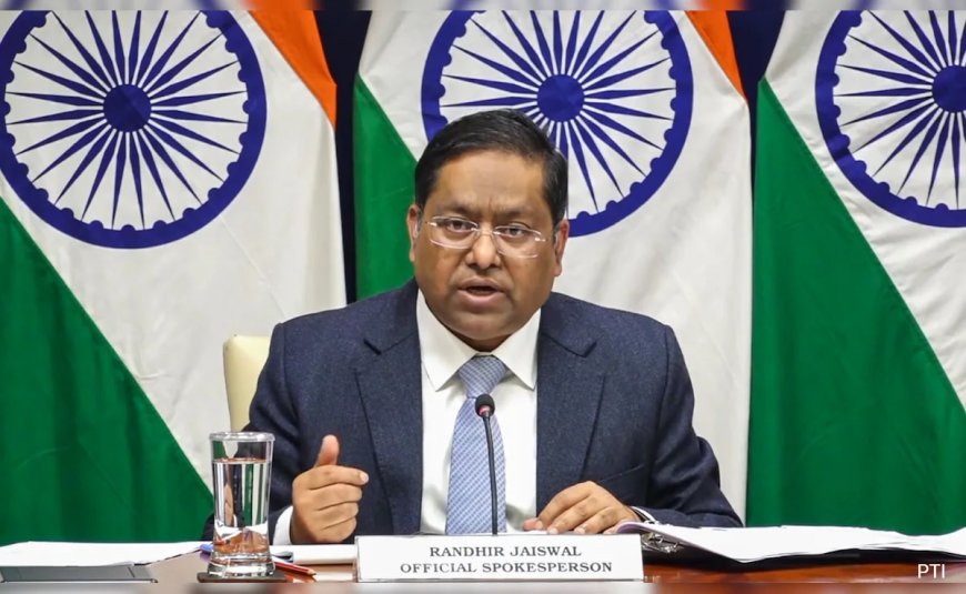 'They May Try Hard But...': India On Pakistan Distancing Itself From Tahawwur Rana