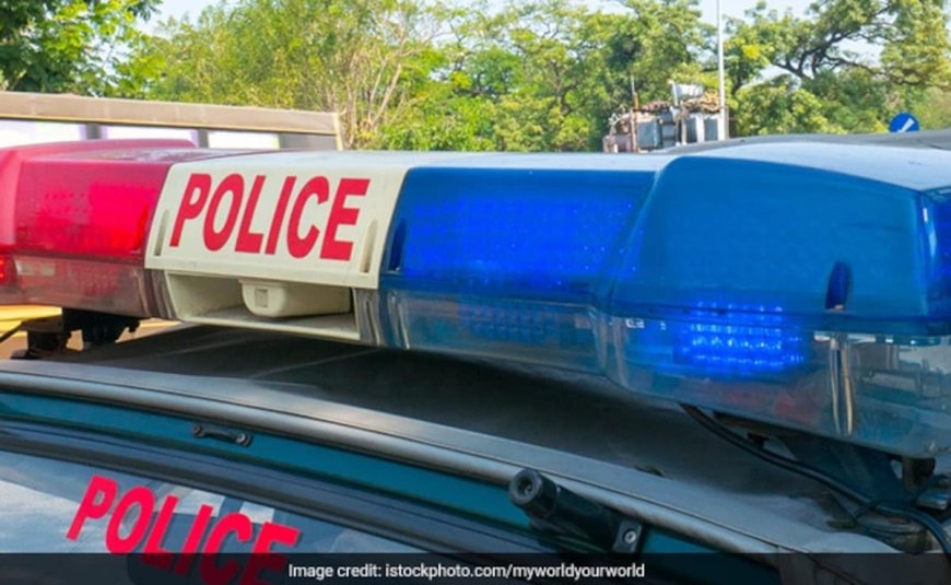 Chhattisgarh Man Kills Mother After She Denies Him Rs 200 To Purchase Puppy