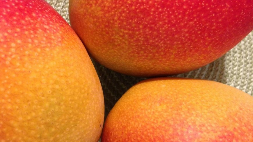 7 delicious mango recipes to try this summer