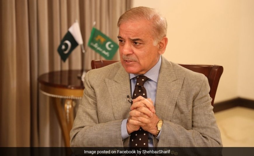 "Pakistan Ready For Neutral Probe": Shehbaz Sharif On Pahalgam Attack