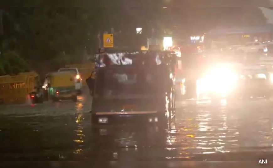 4 Killed, Over 120 Flights Delayed After Heavy Rain, Dust Storm In Delhi-NCR