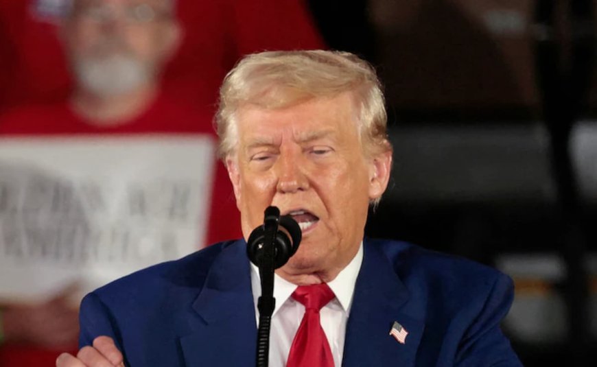 "To All Illegal Aliens": Trump Launches Paid Self-Deportation Program