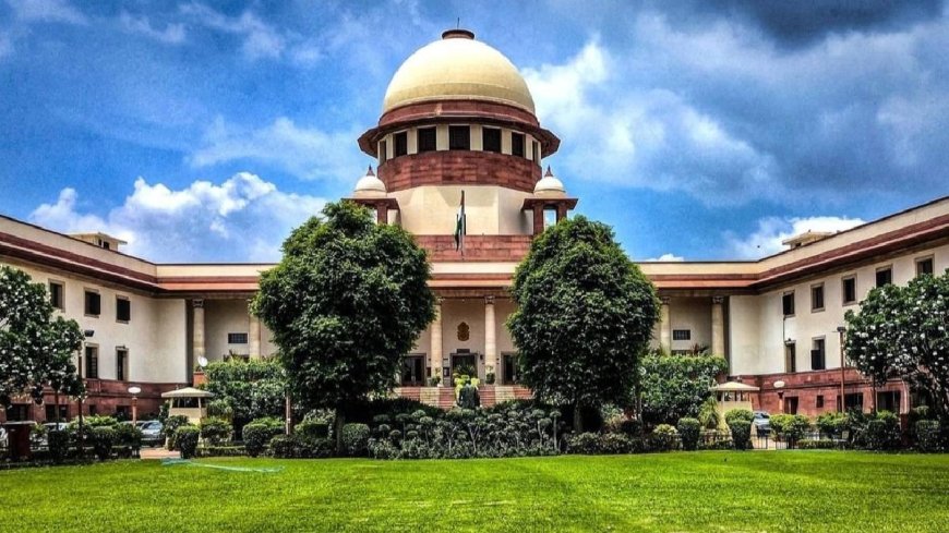 Plea in top court seeks return, release of 'forcibly deported' Rohingya refugees