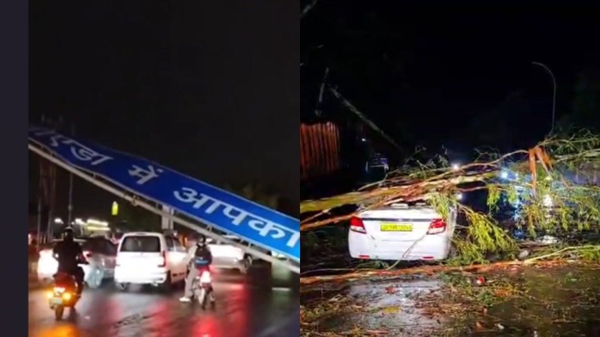 Power out, trees uprooted, banners toppled: How massive storm hit Delhi