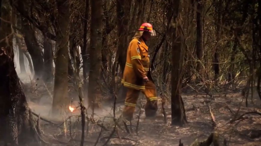 Top 7 films to watch on climate change issues