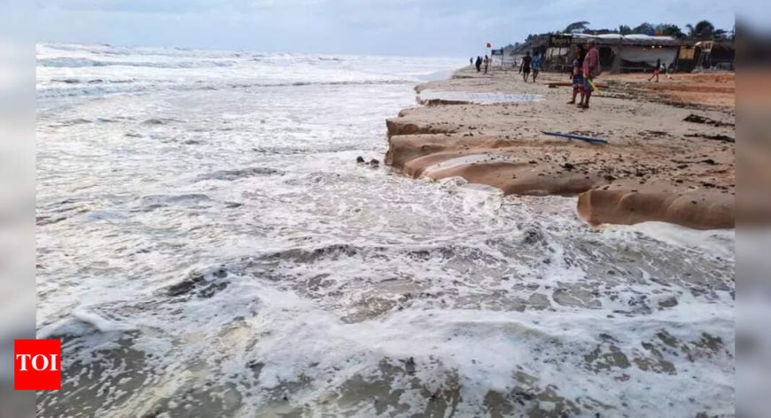 Goa prof Sergio Carvalho’s actions spurred rules for development on country’s coasts