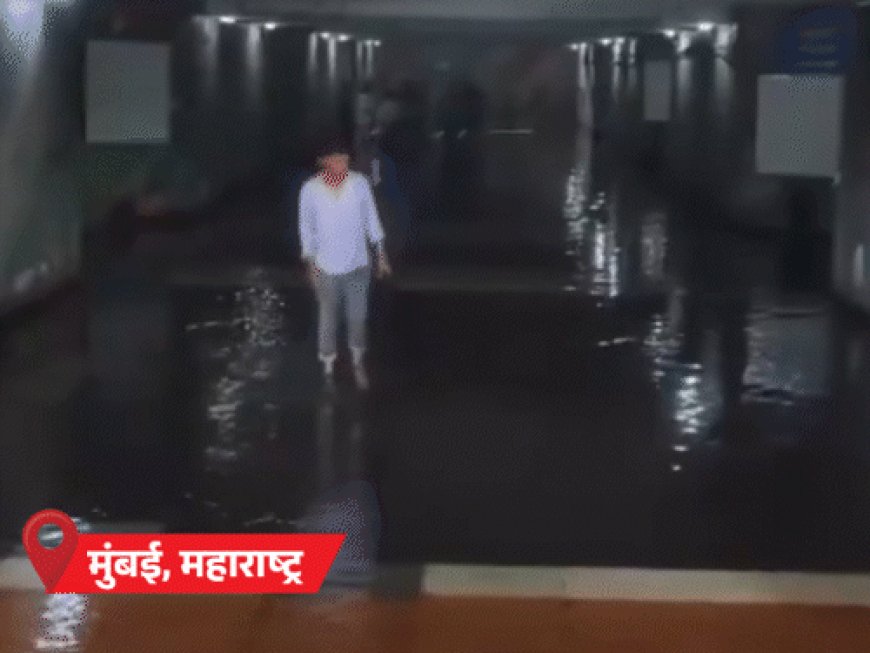 MP-गुजरात पहुंचा मानसून, 19 राज्यों में बारिश का अलर्ट:राजस्थान में प्री मानसून एक्टिव; UP-बिहार समेत 4 राज्यों में बिजली गिरने से 19 की मौत