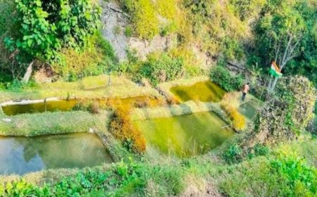 मत्स्य पालन के जरिए चंपावत की महिलाओं ने सामाजिक और आर्थिक सशक्तिकरण की नई कहानी लिखी