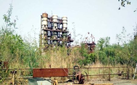 बरेली में रबर फैक्ट्री विवाद: प्रशासन ने 1300 एकड़ जमीन पर कब्जा लेने के लिए कोर्ट में दी याचिका
