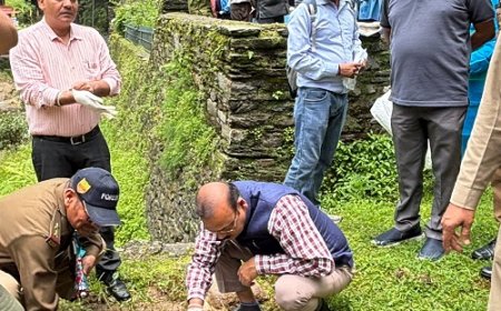 जागेश्वरधाम में सजावटी और औषधीय पौधों का वृहत रोपण अभियान