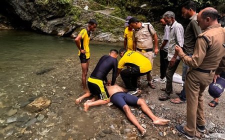 दिल्ली से छुट्टियों में घर आये व्यक्ति की ढोकाने वाटर फॉल में डूबने से हुई दुखद मौत